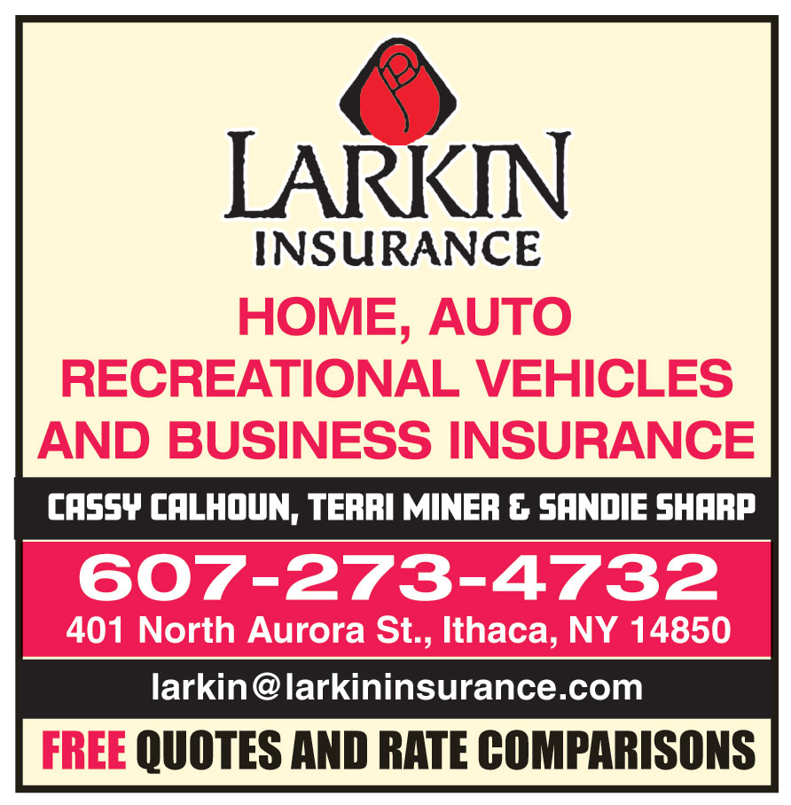 LARKIN INSURANCE