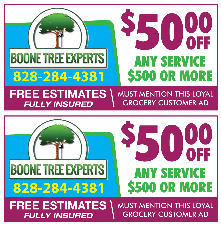 BOONE TREE EXPERTS