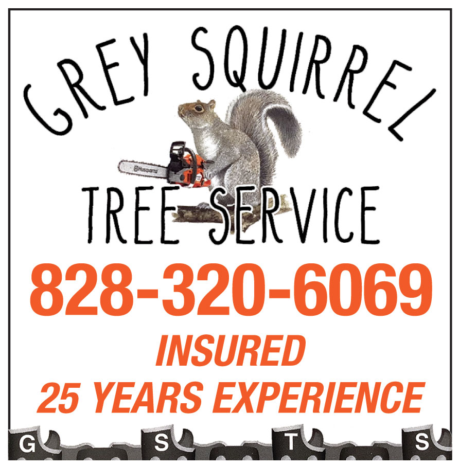 GREY SQUIRREL TREE SERVIC