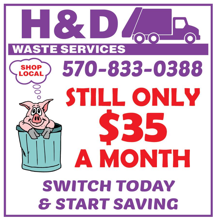 H AND D WASTE SERVICES