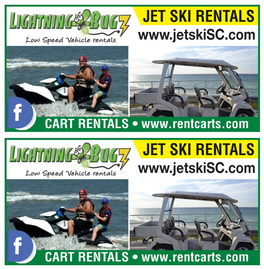 LIGHTNING BUGZ RENTALS