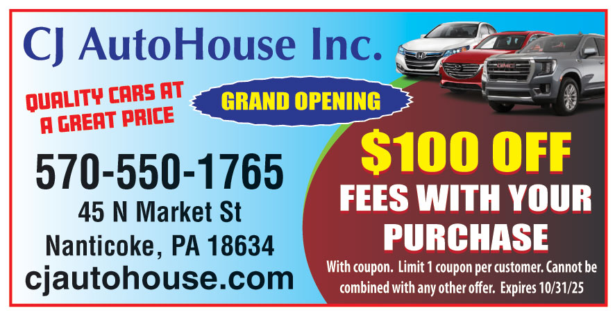 C J AUTOHOUSE INC