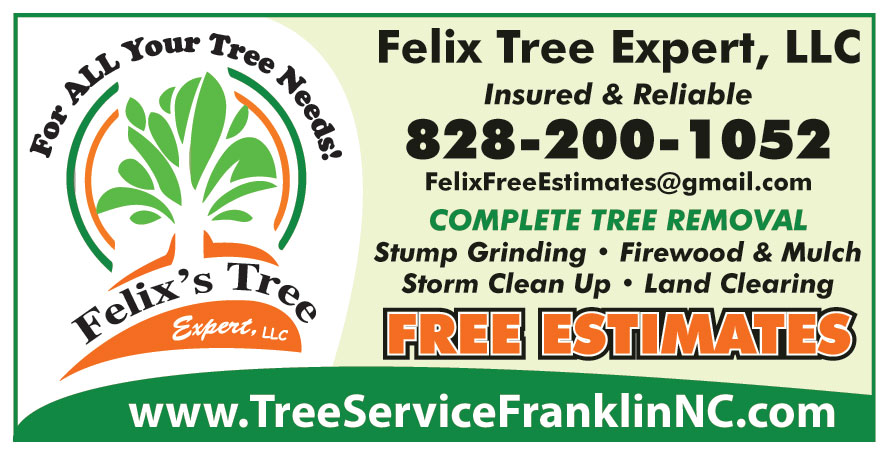 FELIXS TREE SERVICES