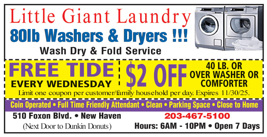LITTLE GIANT LAUNDRY