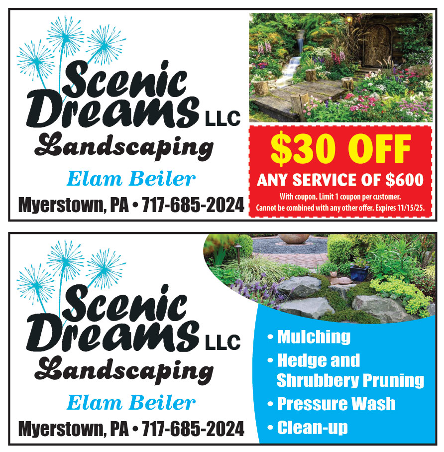 SCENIC DREAMS LLC