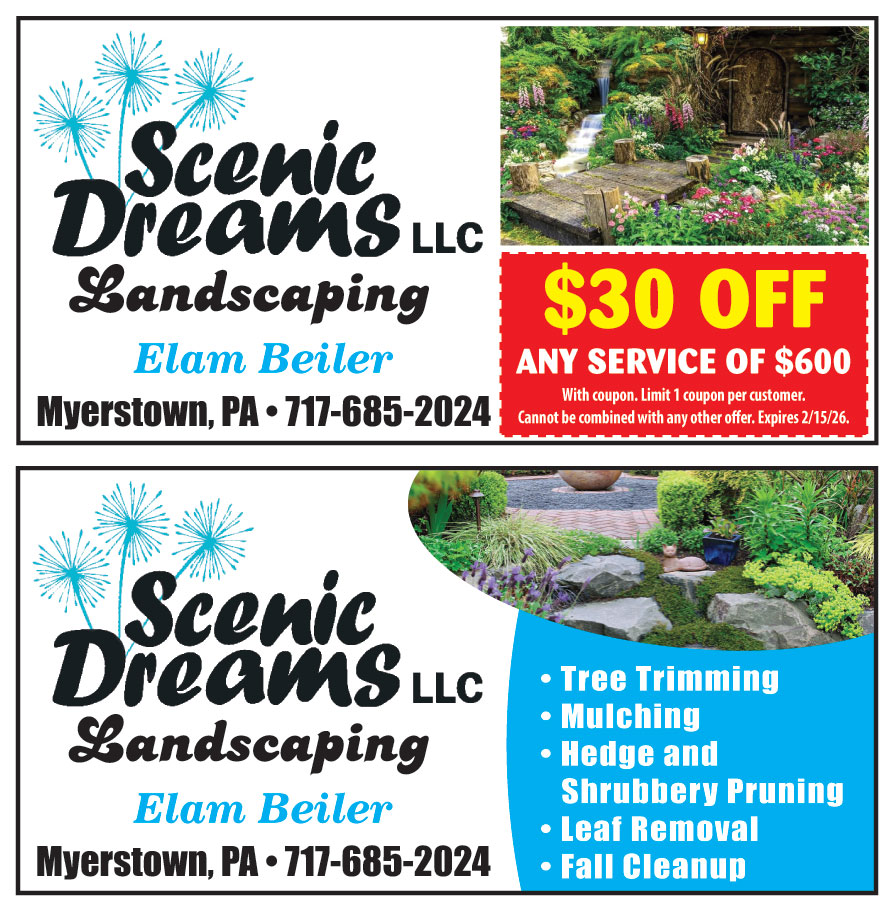 SCENIC DREAMS LLC