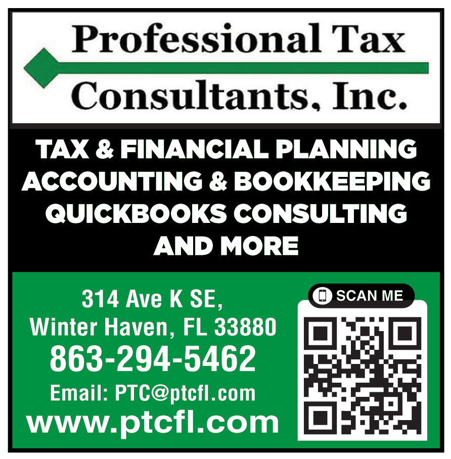 PROFESSIONAL TAX CONSULTA