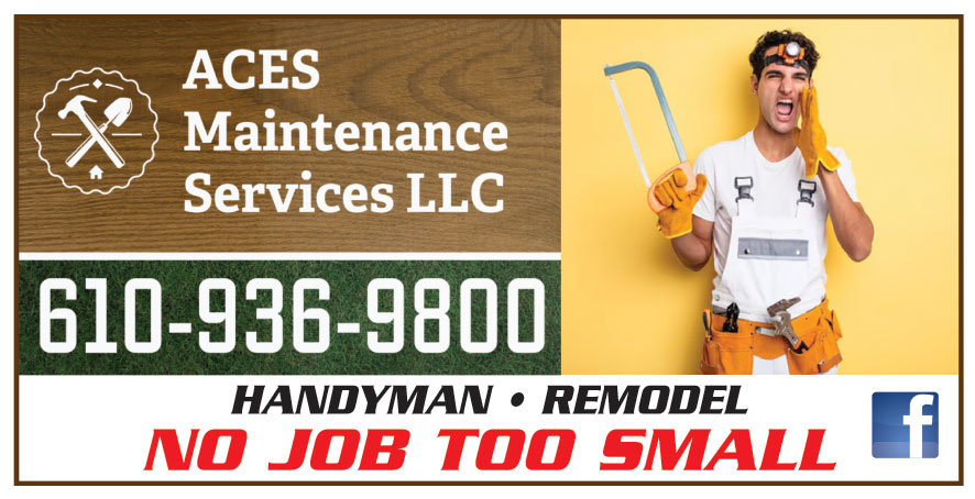 ACES MAINTENANCE SERVICES