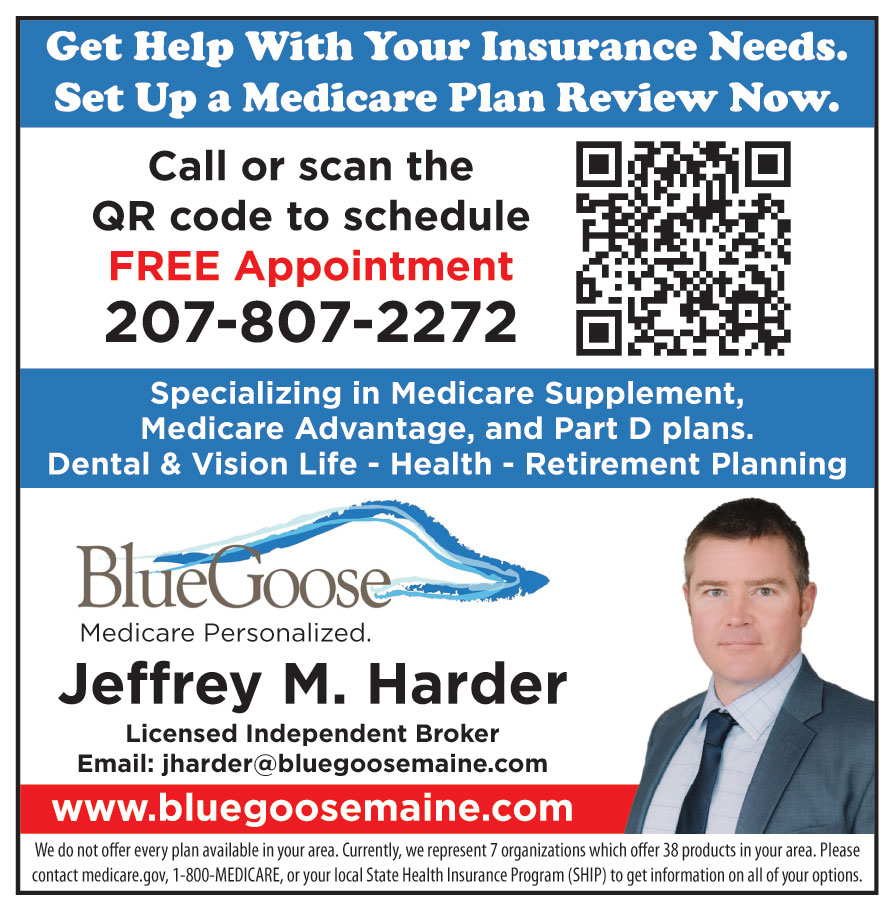 BLUE GOOSE INC