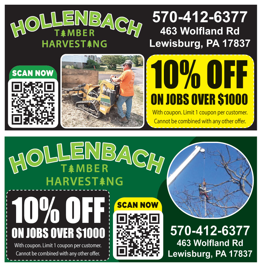 HOLLENBACH TIMBER HARVEST