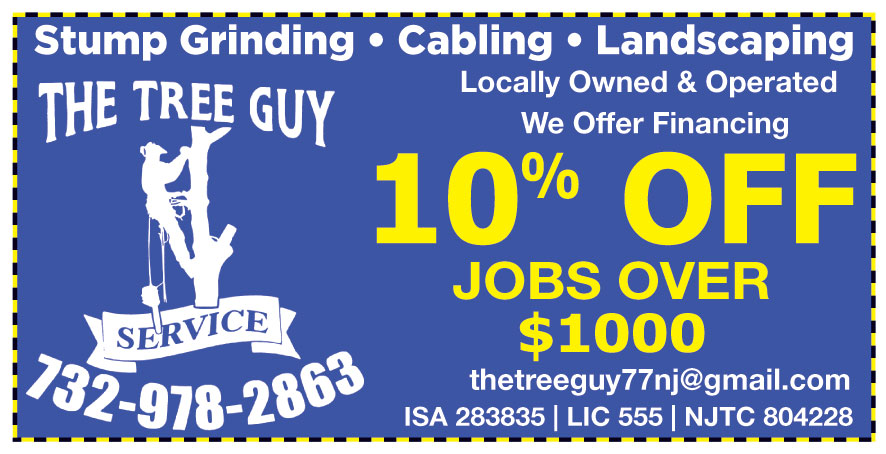 THE TREE GUY SERVICE LLC