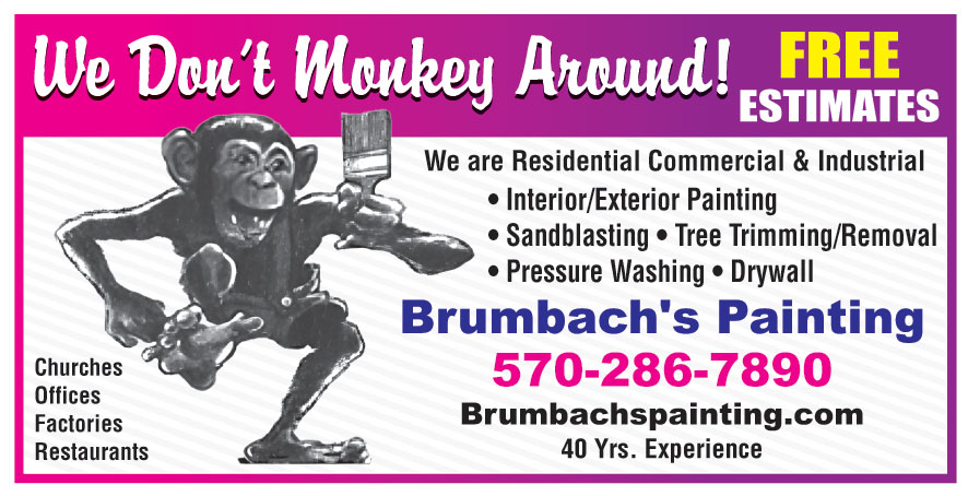 BRUMBACHS BARN HOUSE AND