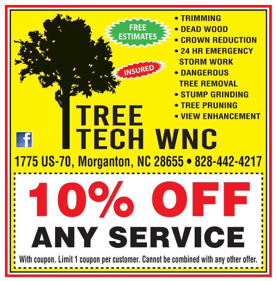 10% OFF ON ANY SERVICE