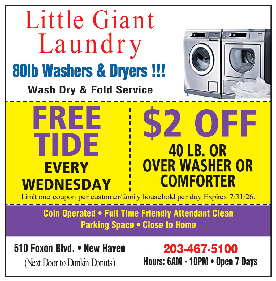 LITTLE GIANT LAUNDRY