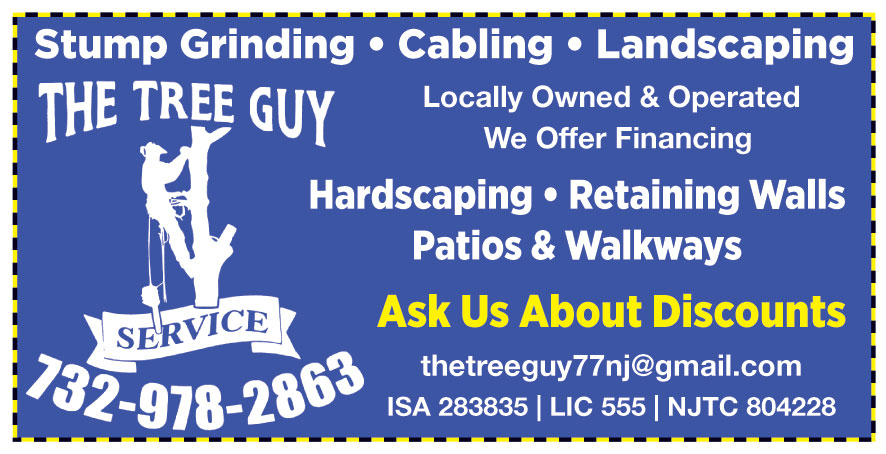 THE TREE GUY SERVICE LLC