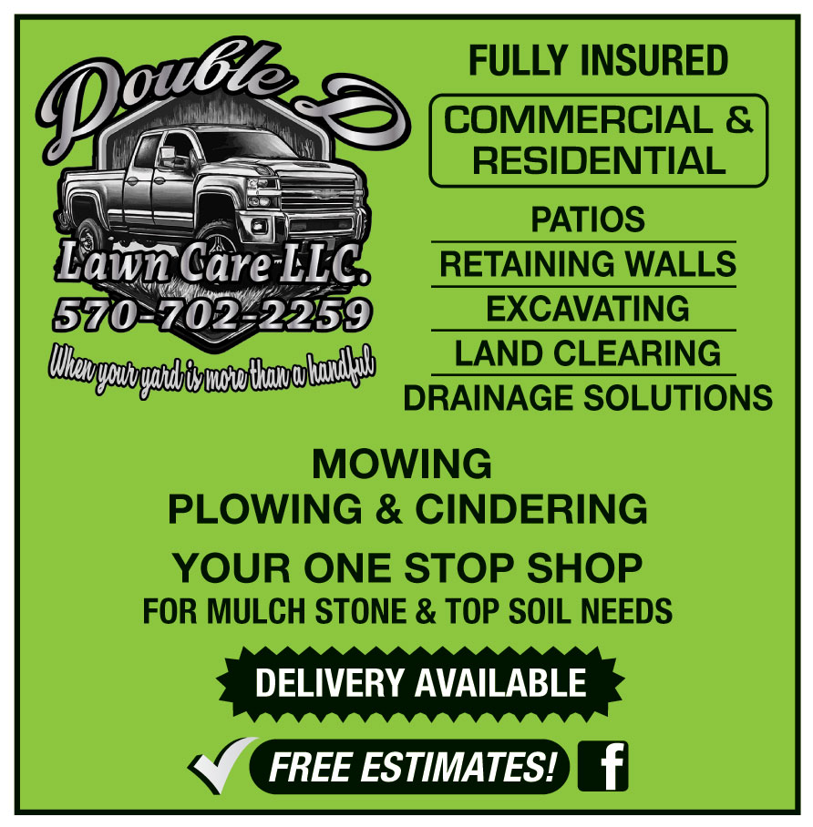 DOUBLE D LAWN CARE LLC