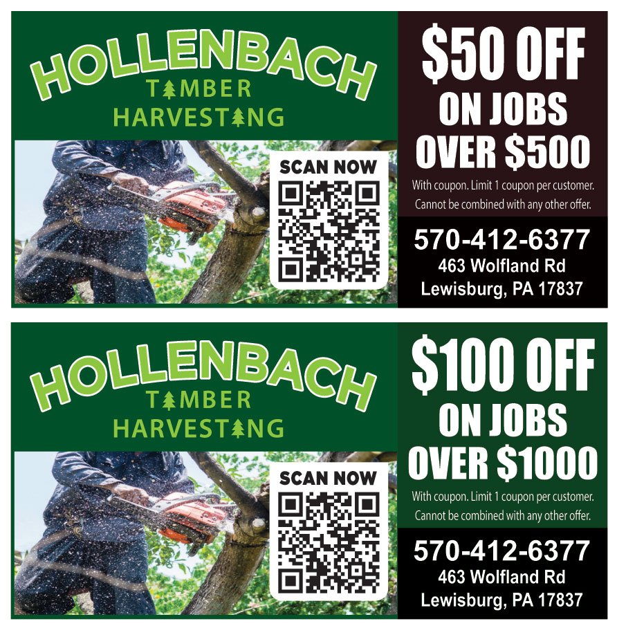 HOLLENBACH TIMBER HARVEST