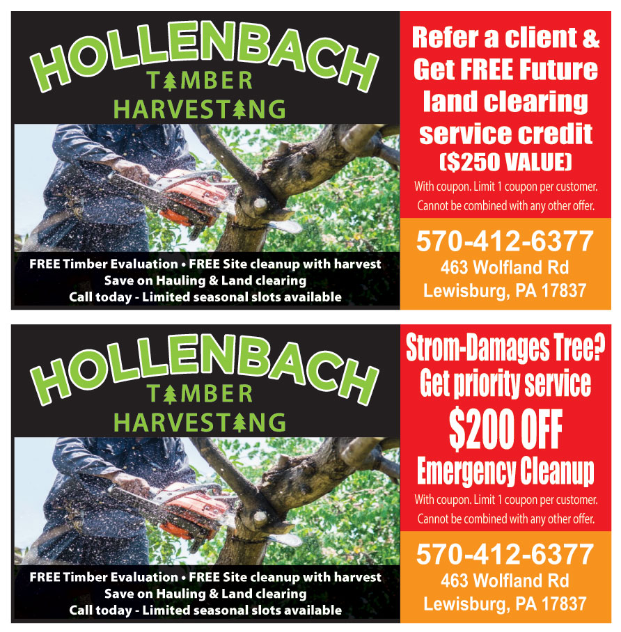 HOLLENBACH TIMBER HARVEST