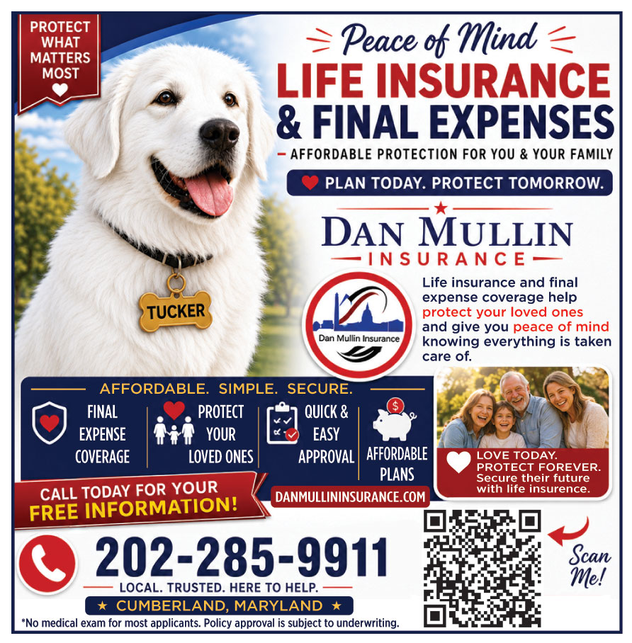 DAN MULLIN INSURANCE