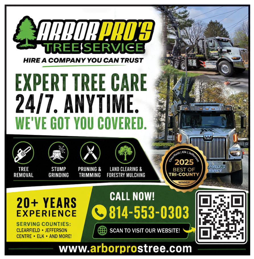 ARBOR PROS TREE SERVICE