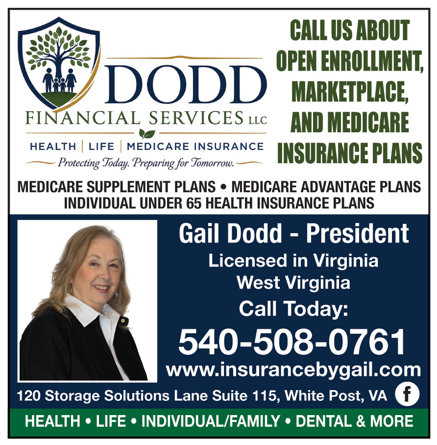DODD FINANCIAL SERVICES L