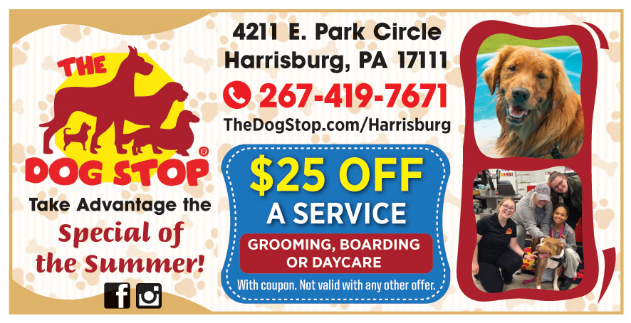 THE DOG STOP HARRISBURG