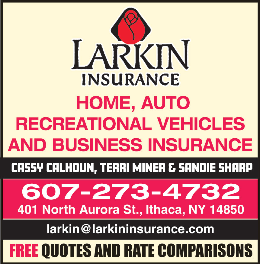 LARKIN INSURANCE