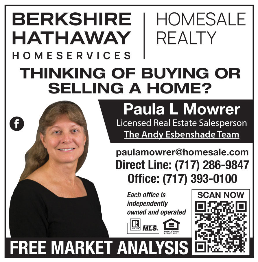 FREE MARKET ANALYSIS