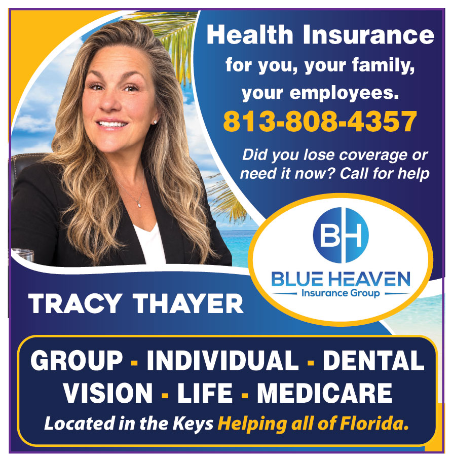BLUE HEAVEN INSURANCE GRO